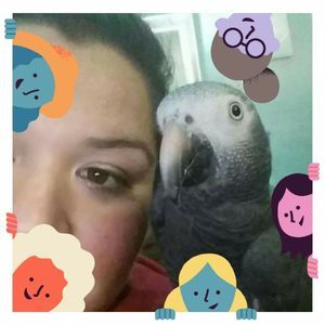 Meet your Posher, Lucy